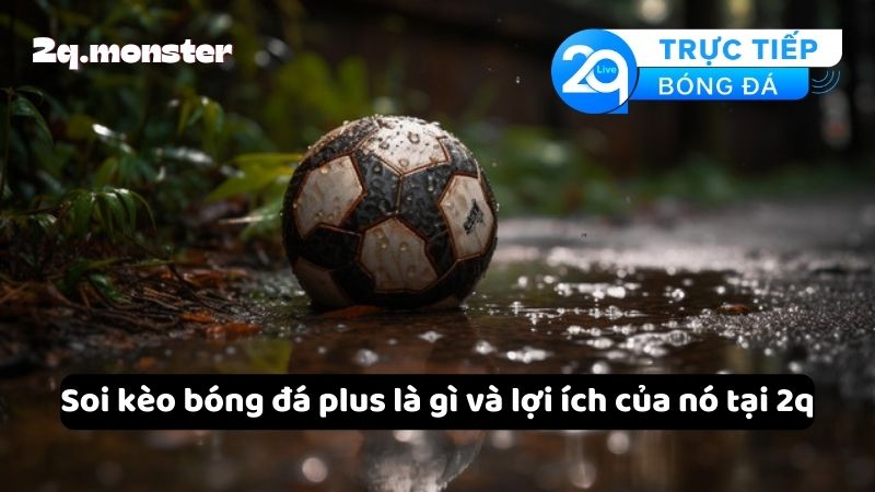 Soi kèo bóng đá plus là gì và lợi ích của nó tại 2q