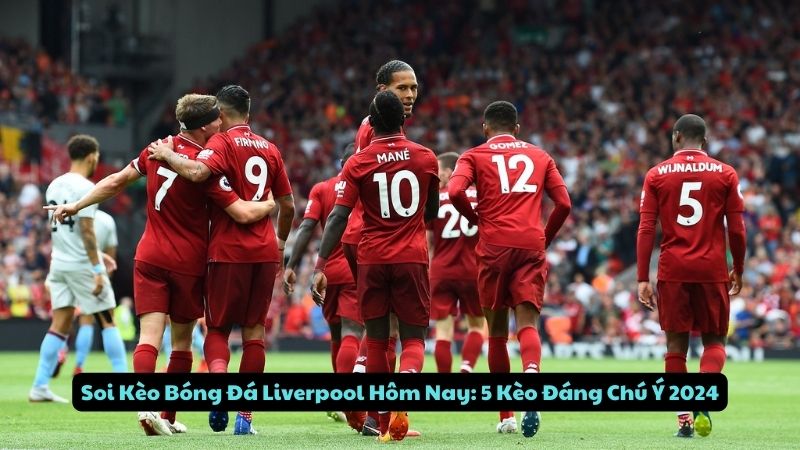 soi keo bong da liverpool hom nay